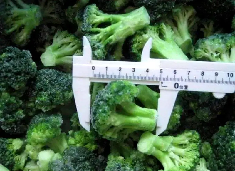 Mesure des fleurettes de brocoli