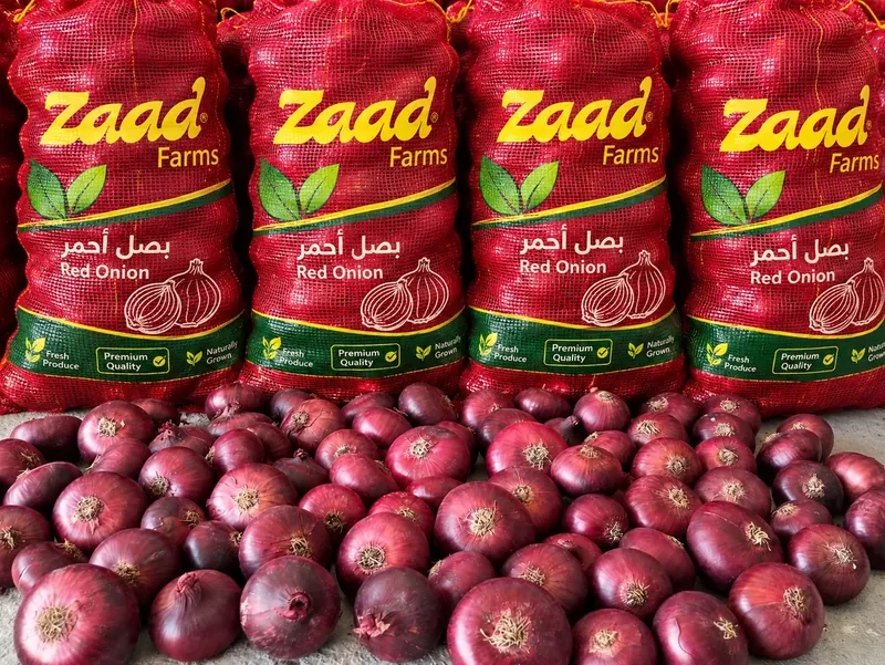 Red onions in Zaad bags