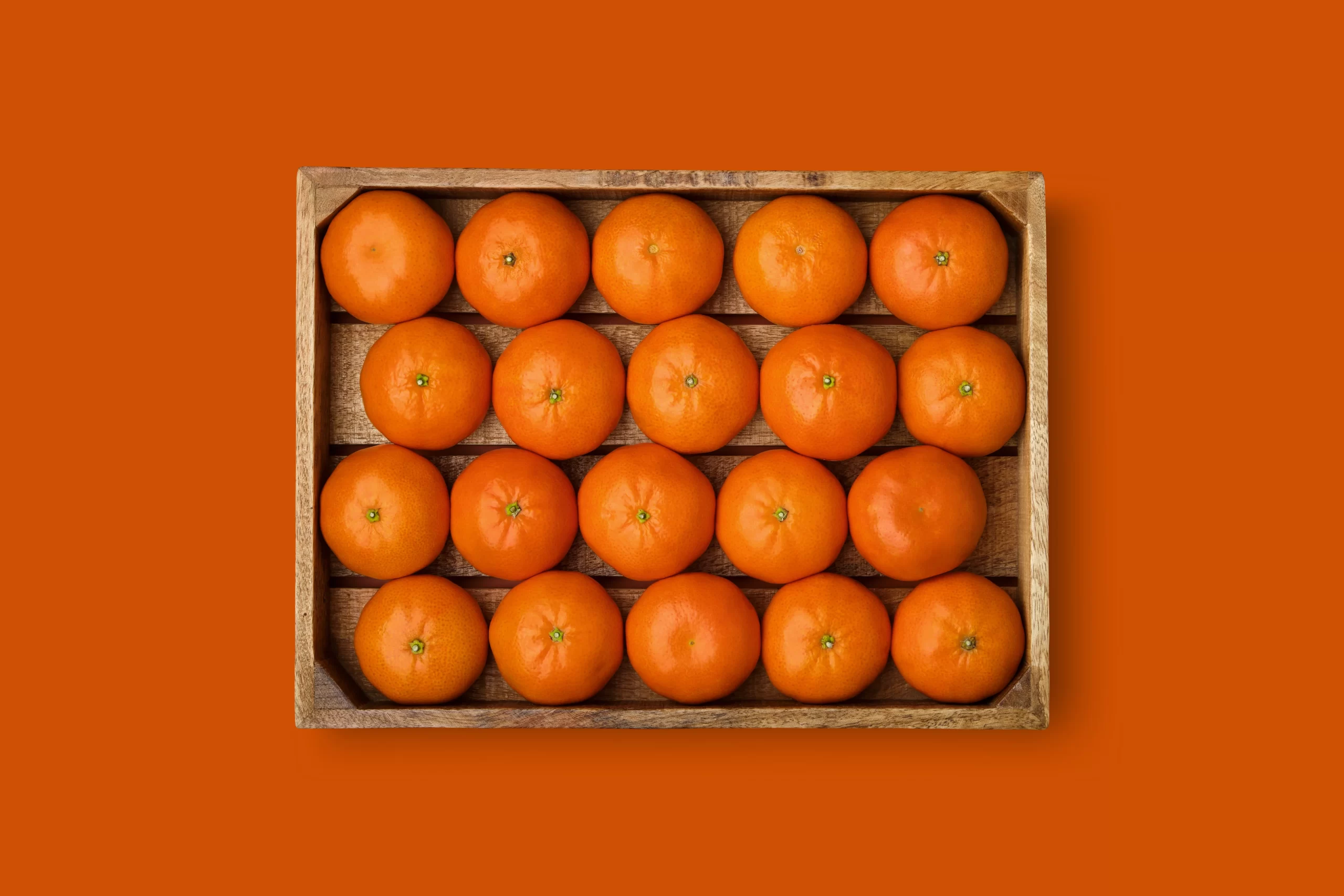 Egyptian mandarins