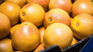 Egyptian grapefruit