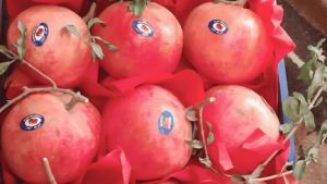 Pomegranates 