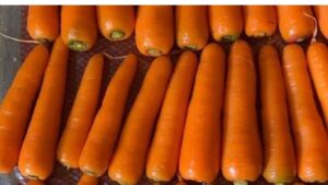 Egyptian Carrots