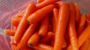Egyptian Carrots