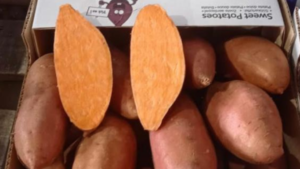 sweet Potatoes