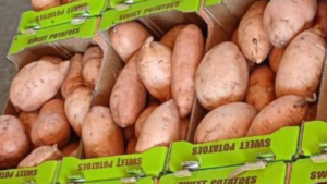 sweet Potatoes