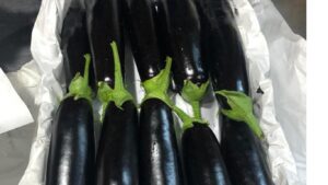 Egyptian Eggplants