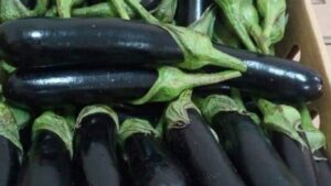 Egyptian Eggplants