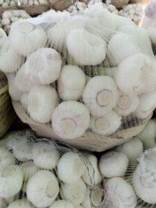 Garlic