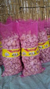 Garlic